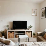 10 Modern TV Room Decor on a Budget