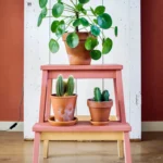 Creative Plant Stand Ideas To Elevate Your Space