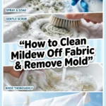 How to clean mildew off fabric remove mold