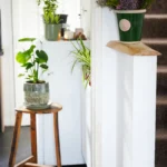 Stylish Plant Stand Ideas For Every Home Decor
