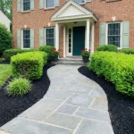Walkway Designs